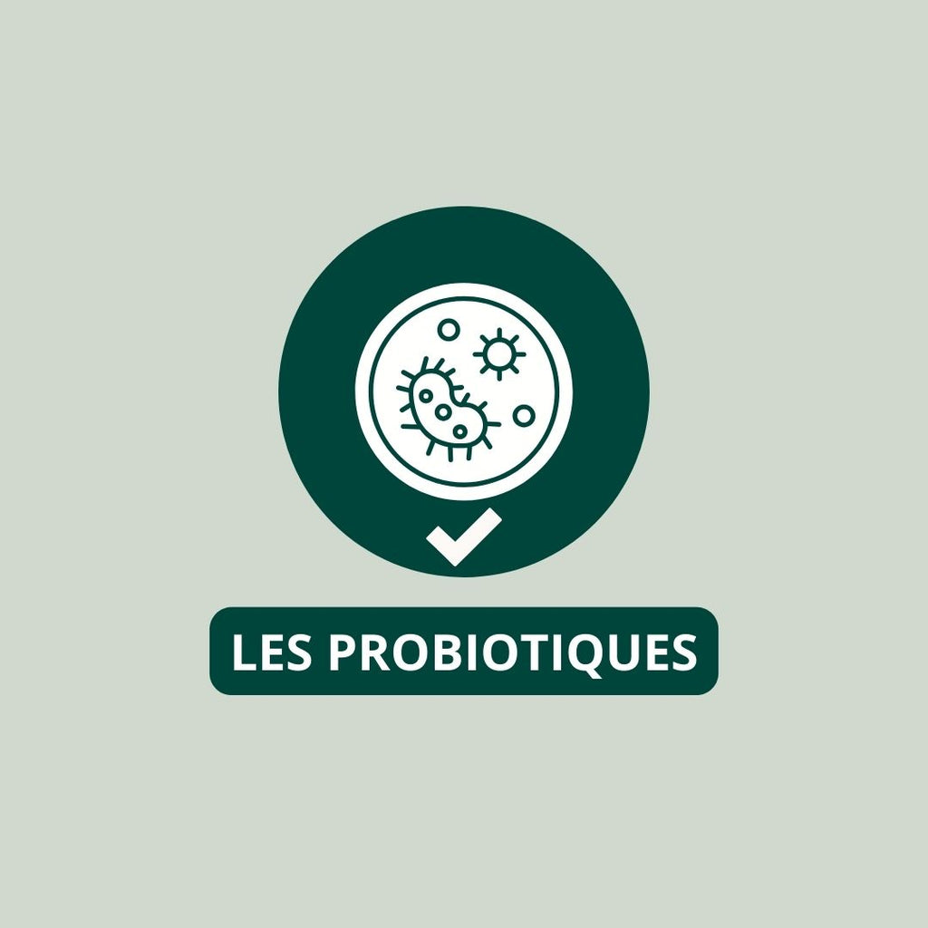 Les probiotiques dans la skincare